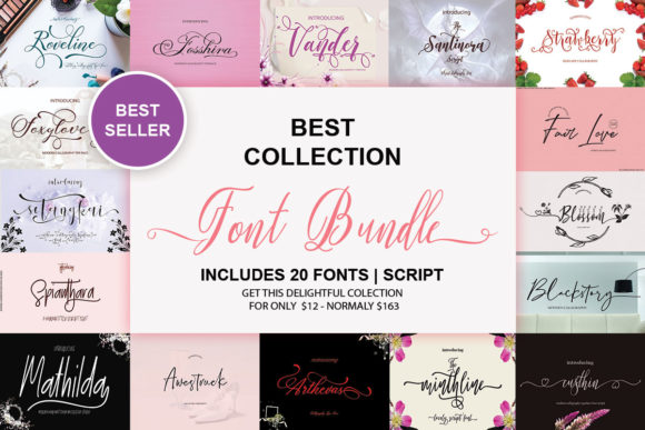 Download Best Collection Font Bundle - Premium Bundle